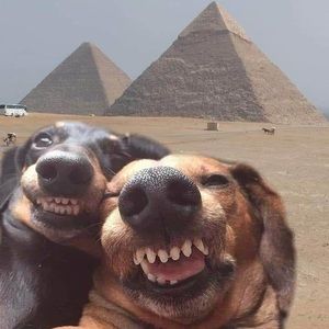 Meet your Posher, Marcela